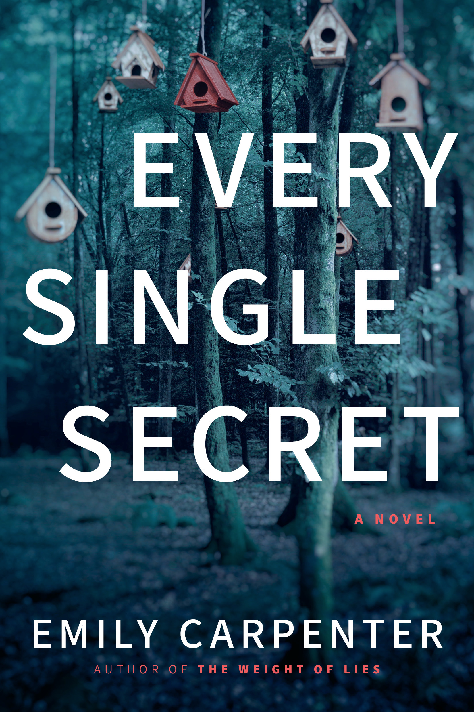 Every Single Secret - a novel by Emily Carpenter